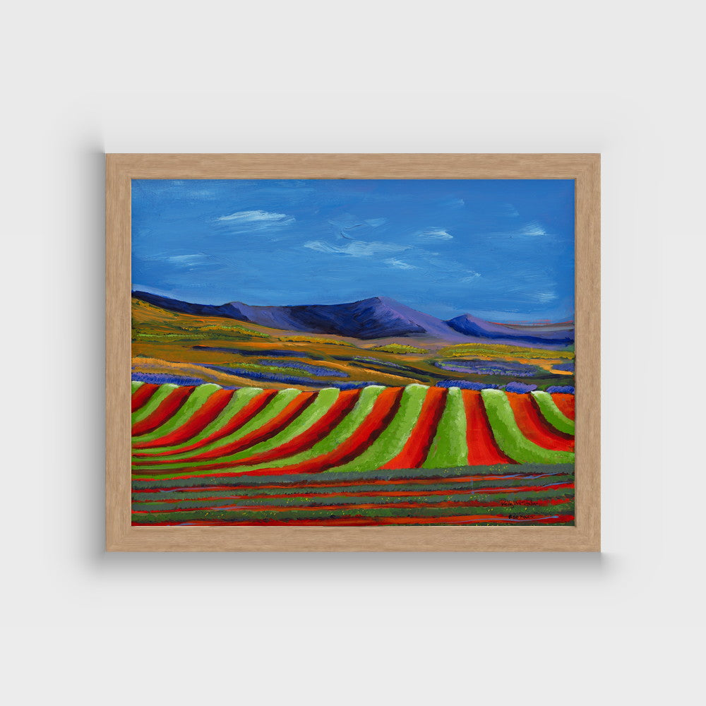 Red Rows — framed in natural oak