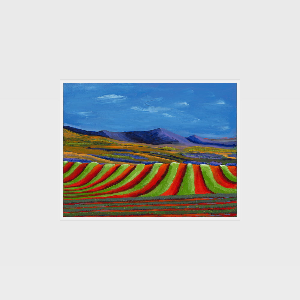 Red Rows — as an unframed giclée print